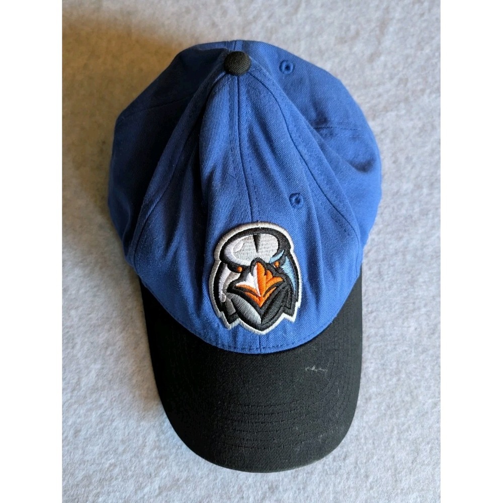 Aberdeen Ironbirds Minor League Baseball Hat OC SPORTS Cap Hat Iron Bird Blue - Picture 10 of 11